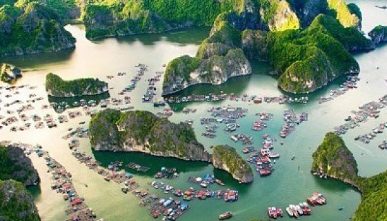 Chương trình đào tạo ngành Quản lý đất đai